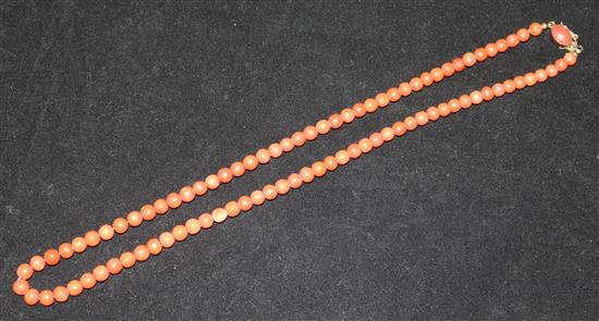 A coral bead necklace, 20in.